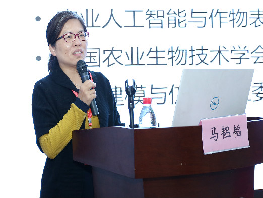图片11.png